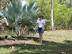 CairnsTC064 Centenary Lakes